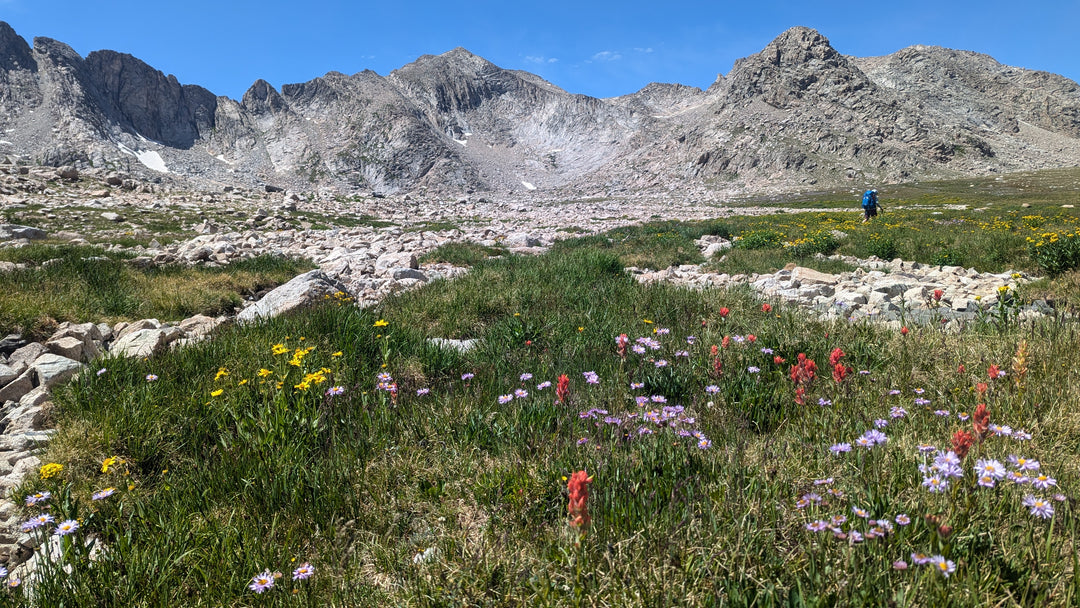 Trip Report: Kate on the Wind River High Route